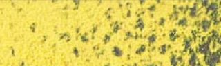 Pastela sucha w kredce Caran dAche - 240 Lemon Yellow